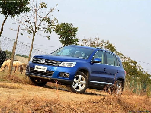 新車一日拆兩回發(fā)動(dòng)機(jī) 大眾油品頑疾十年未解